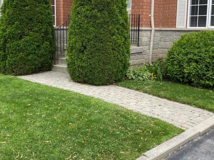 Landscape Designer, Orillia