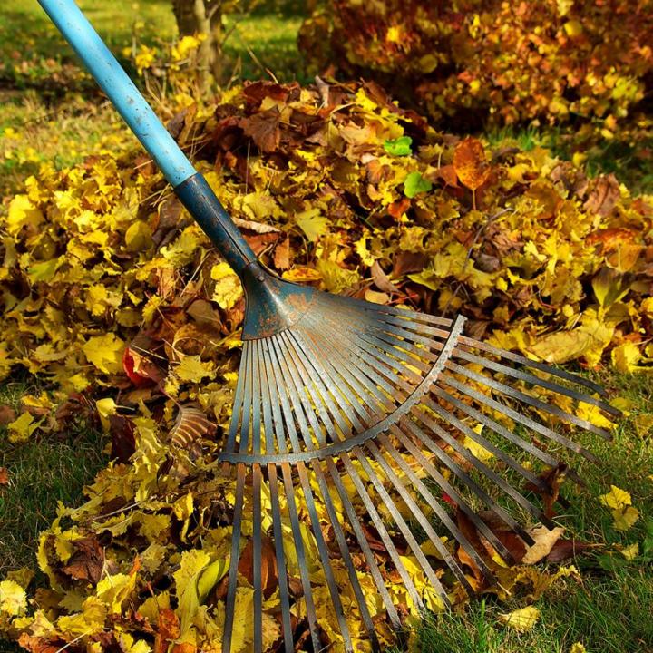 Land Clearing Services Uxbridge